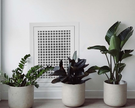 Image of Wood Return Egg Crate Filter Grille painted white and installed in white wall with three potted plants in the foreground